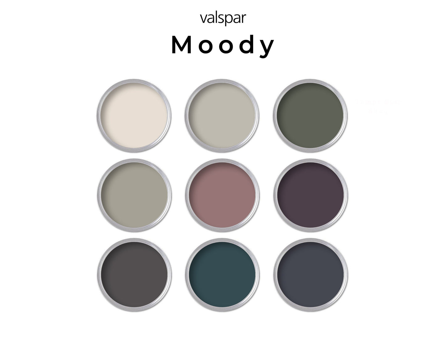 Moody Valspar Paint Color Palette | Moody Whole House Valspar Paint Color Palette