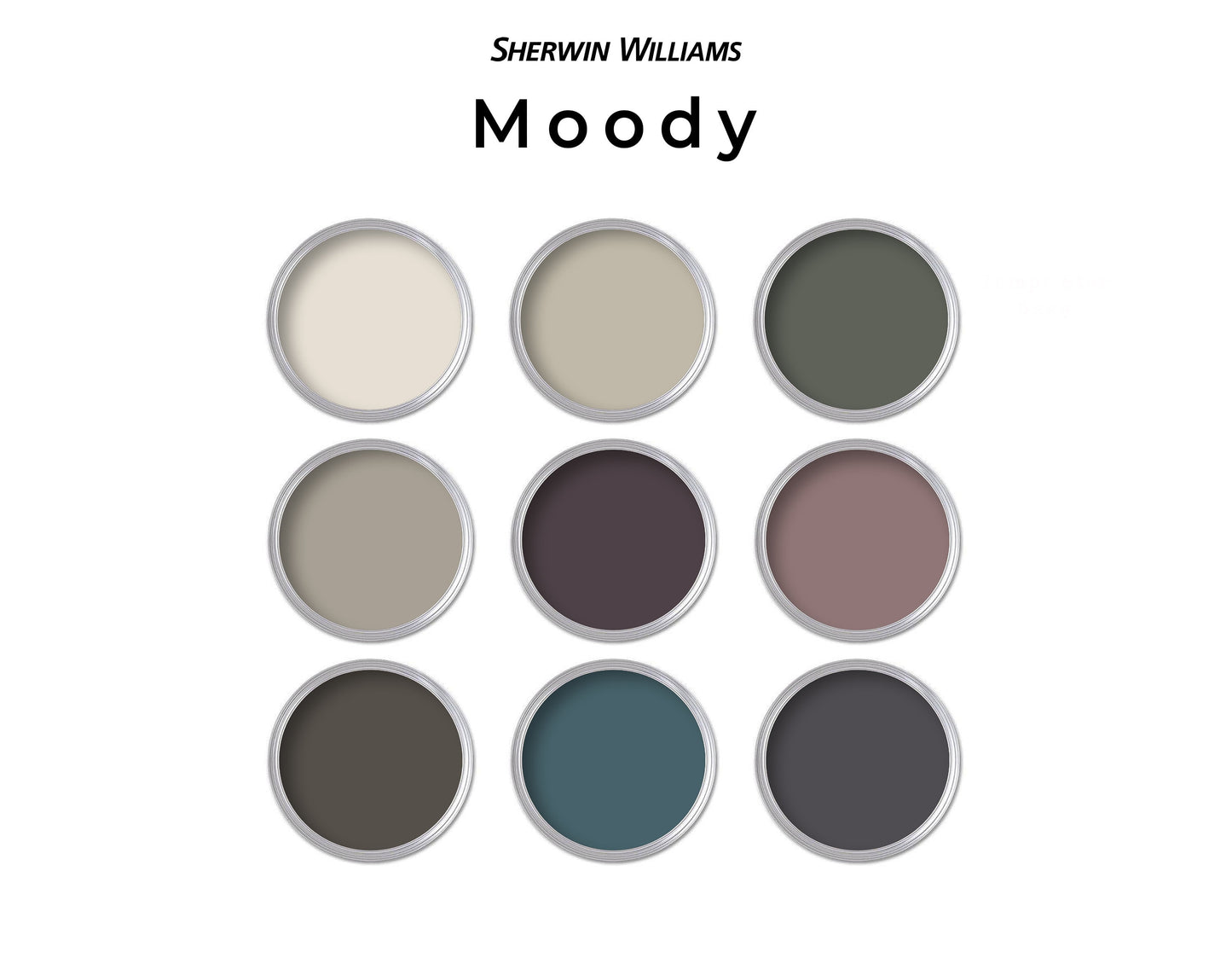 Moody Sherwin Williams Paint Color Palette | Cozy Dark Paint Colors for Home