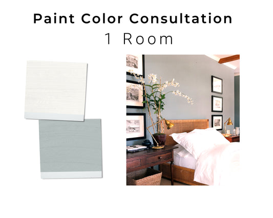 Interior Paint Color Consultation 1 Room | Professional Custom Paint Consultation