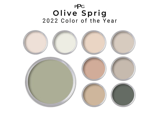 PPG Bohemian Paint Color Palette | 2022 Color of the Year Olive Sprig Paint Scheme