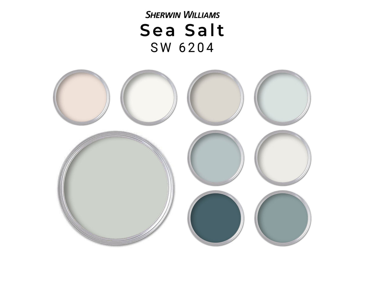 Sea Salt Sherwin Williams Paint Color Palette | Whole House Paint Pale ...