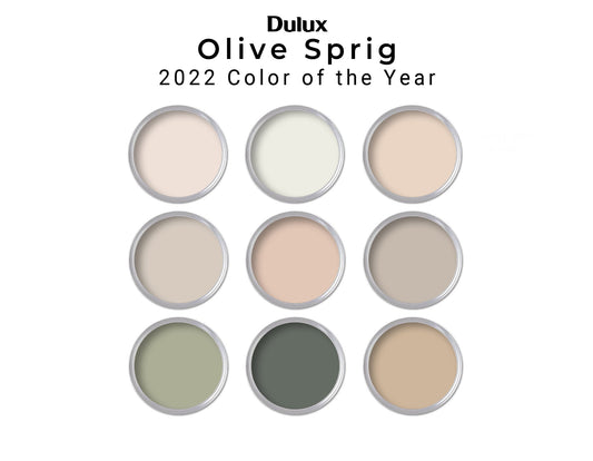 Olive Sprig Dulux Paint Color Palette | 2022 Color of Year Paint Palette